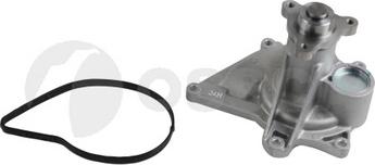 OSSCA 88919 - Водяний насос autocars.com.ua