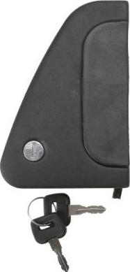 Pacol DAF-DH-007L - Ручка двері autocars.com.ua