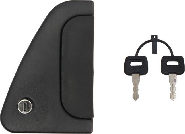 Pacol DAF-DR-001 - Ручка двері autocars.com.ua