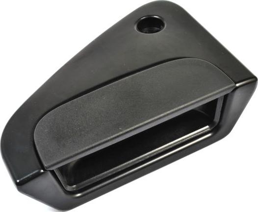 Pacol DAF-DR-002 - Ручка двері autocars.com.ua