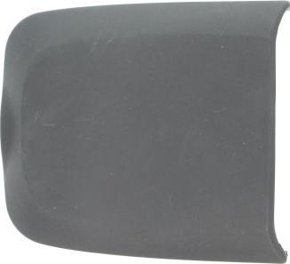 Pacol DAF-FB-008 - Тримач, бризговик autocars.com.ua