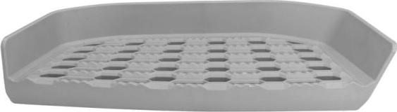 Pacol DAF-FS-026L - Підніжка, накладка порога autocars.com.ua