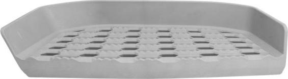 Pacol DAF-FS-026R - Підніжка, накладка порога autocars.com.ua