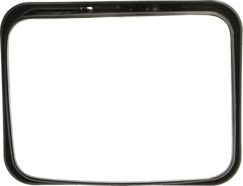 Pacol DAF-MR-025 - Зовнішнє дзеркало autocars.com.ua