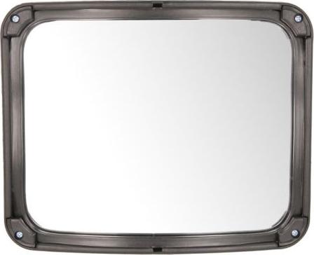 Pacol DAFMR026 - Зовнішнє дзеркало autocars.com.ua
