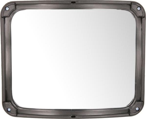 Pacol DAF-MR-026 - Зовнішнє дзеркало autocars.com.ua