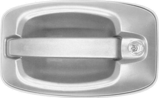Pacol IVE-DH-0013 - Ручка двері autocars.com.ua