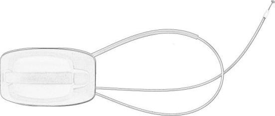 Pacol IVE-DH-0014 - Ручка двері autocars.com.ua