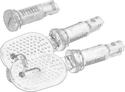 Pacol IVE-DH-021 - Циліндр замка autocars.com.ua