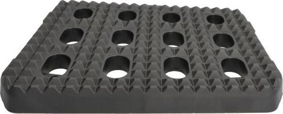 Pacol IVE-SP-036R - Підніжка, накладка порога autocars.com.ua