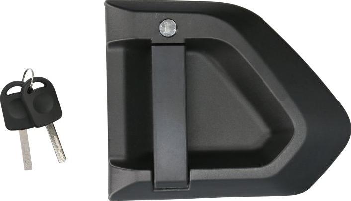 Pacol MAN-DH-015R - Ручка двері autocars.com.ua