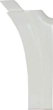 Pacol MAN-MG-023L - Крило autocars.com.ua