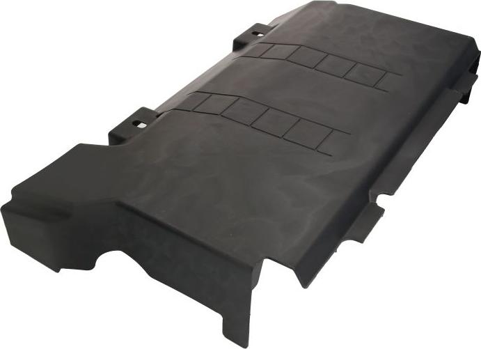 Pacol RVI-BC-008 - Аеродефлектор autocars.com.ua