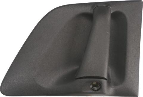 Pacol SCA-DH-001L - Ручка двері autocars.com.ua