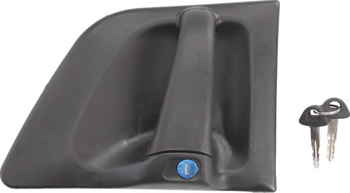 Pacol SCA-DH-005L - Ручка двері autocars.com.ua