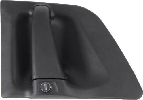 Pacol SCA-DH-005R - Ручка двері autocars.com.ua