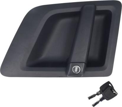 Pacol SCA-DH-010L - Ручка двері autocars.com.ua