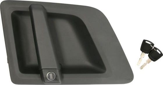 Pacol SCA-DH-010R - Ручка двері autocars.com.ua