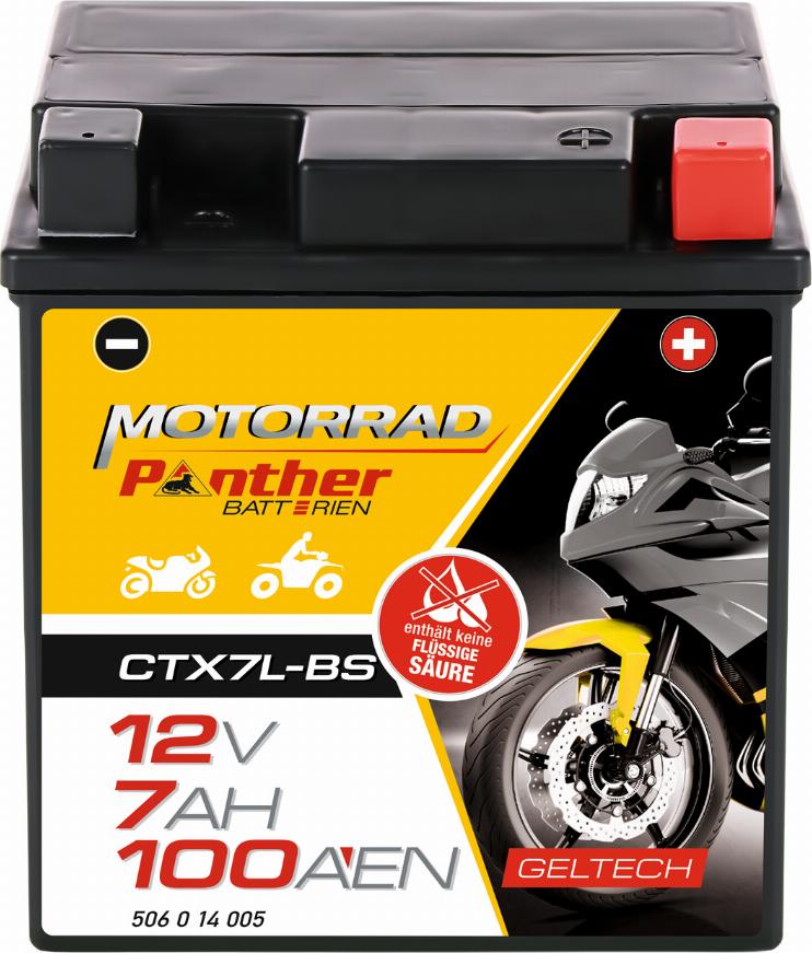 PANTHER GB.5061477 - Стартерна акумуляторна батарея, АКБ autocars.com.ua