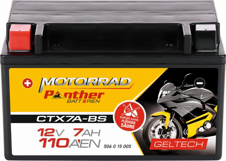 PANTHER GB.5061577 - Стартерна акумуляторна батарея, АКБ autocars.com.ua