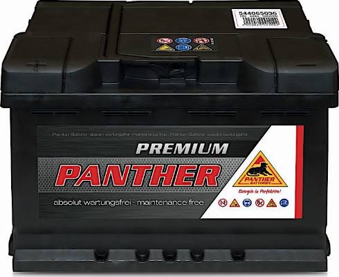 PANTHER SB.5446533 - Стартерна акумуляторна батарея, АКБ autocars.com.ua