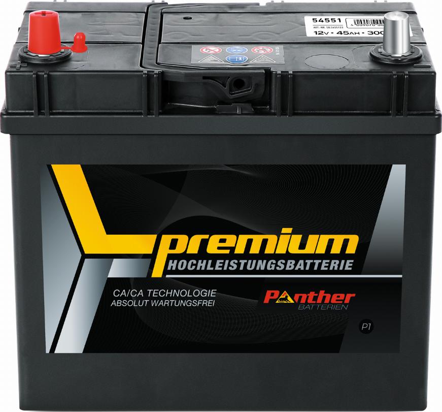 PANTHER SB.5455133n - Стартерна акумуляторна батарея, АКБ autocars.com.ua