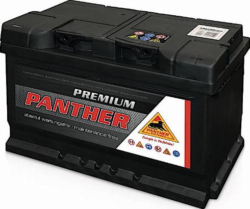 PANTHER SB.5642033 - Стартерна акумуляторна батарея, АКБ autocars.com.ua