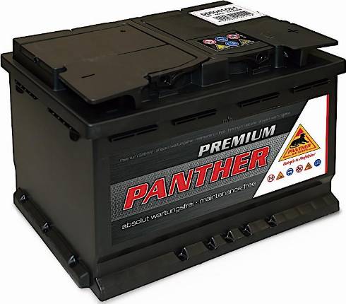 PANTHER SB.5664133 - Стартерна акумуляторна батарея, АКБ autocars.com.ua