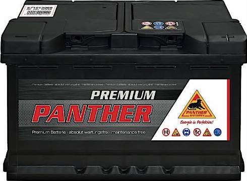 PANTHER SB.5711333 - Стартерна акумуляторна батарея, АКБ autocars.com.ua