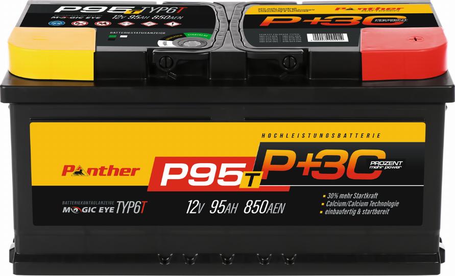 PANTHER SB.P95T - Стартерна акумуляторна батарея, АКБ autocars.com.ua