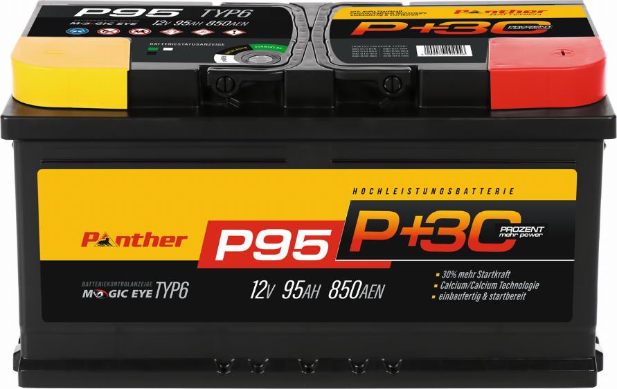 PANTHER SB.P95 - Стартерна акумуляторна батарея, АКБ autocars.com.ua