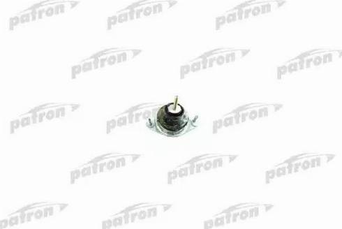 Patron PSE3153 - Подушка, опора, подвеска двигателя avtokuzovplus.com.ua