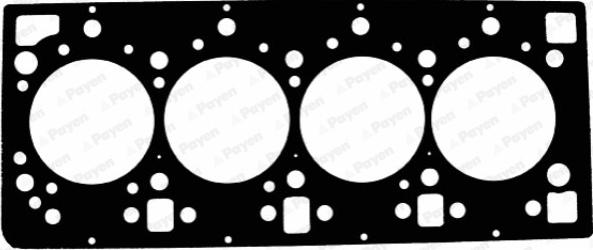 Payen AE5050 - Прокладка, головка цилиндра autodnr.net