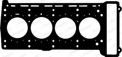 Payen AG8790 - Прокладка, головка циліндра autocars.com.ua