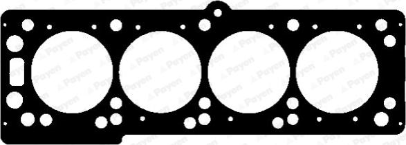 Payen AG9570 - Прокладка, головка цилиндра autodnr.net
