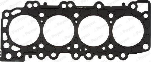 Payen AG9960 - Прокладка, головка циліндра autocars.com.ua