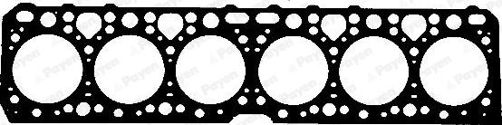 Payen BG070 - Прокладка, головка циліндра autocars.com.ua