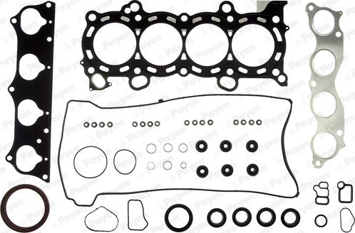 Payen FG8130 - Комплект прокладок, двигун autocars.com.ua