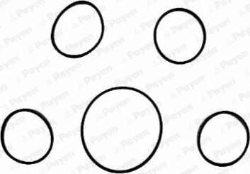 Payen HA5005 - Комплект прокладок, впускний колектор autocars.com.ua