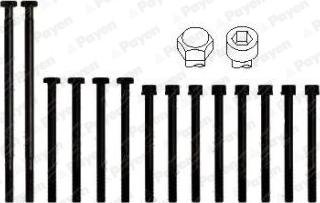 Payen HBS010 - Комплект болтів головки циліндрів autocars.com.ua