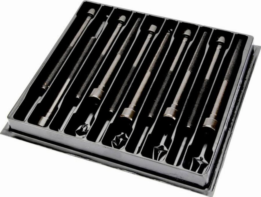 Payen HBS095 - Комплект болтів головки циліндрів autocars.com.ua