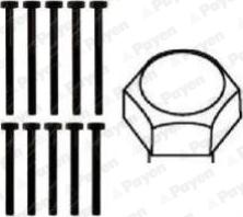 Payen HBS112 - Комплект болтів головки циліндрів autocars.com.ua