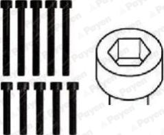 Payen HBS161 - Комплект болтів головки циліндрів autocars.com.ua