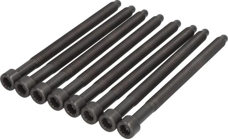 Payen HBS264 - Комплект болтів головки циліндрів autocars.com.ua