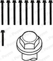 Payen HBS297 - Комплект болтів головки циліндрів autocars.com.ua