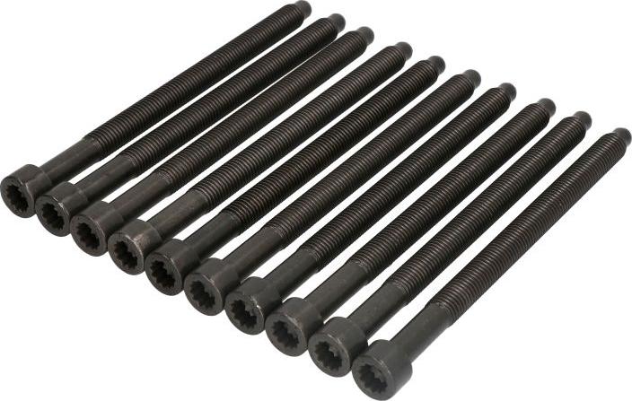 Payen HBS300 - Комплект болтів головки циліндрів autocars.com.ua