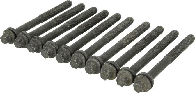 Payen HBS309 - Комплект болтів головки циліндрів autocars.com.ua