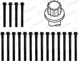 Payen HBS315 - Комплект болтов головки цилиндра avtokuzovplus.com.ua