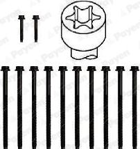 Payen HBS358 - Комплект болтів головки циліндрів autocars.com.ua