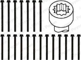 Payen HBS466 - Комплект болтів головки циліндрів autocars.com.ua